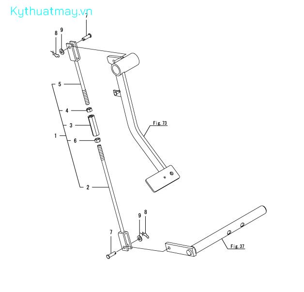 Liên kết khớp ly hợp